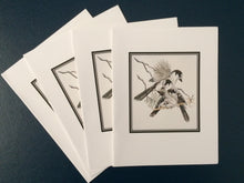 Load image into Gallery viewer, Canada Jay Card Pack (Set of 4) 4&quot; x 5&quot;