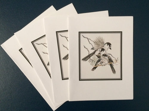 Canada Jay Card Pack (Set of 4) 4