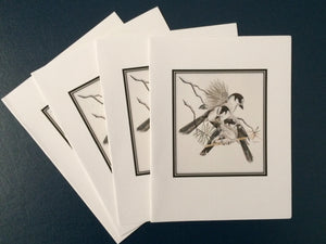 Canada Jay Card Pack (Set of 4) 4" x 5"