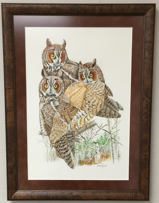 Long-eared Owl (Original Watercolor) - Framed
