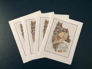 Long-eared Owl Card Pack (Set of 4) 4" x 5"