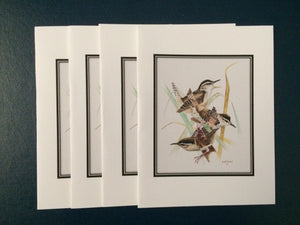 Marsh Wren Card Pack (Set of 4) 4" x 5"