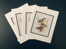 Load image into Gallery viewer, Marsh Wren Card Pack (Set of 4) 4&quot; x 5&quot;
