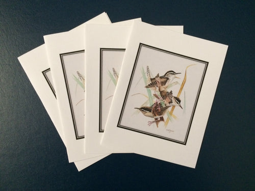Marsh Wren Card Pack (Set of 4) 4