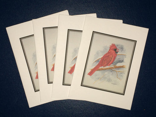 Northern Cardinal Card Pack (Set of 4) 4