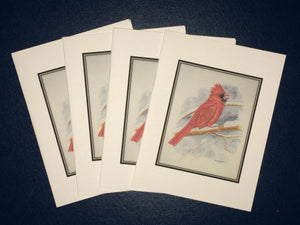 Northern Cardinal Card Pack (Set of 4) 4" x 5"