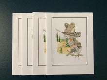 Load image into Gallery viewer, Northern Pygmy-Owl Card Pack (Set of 4) 4&quot; x 5&quot;