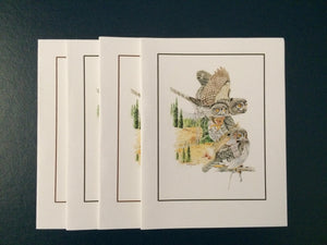 Northern Pygmy-Owl Card Pack (Set of 4) 4" x 5"
