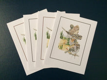 Load image into Gallery viewer, Northern Pygmy-Owl Card Pack (Set of 4) 4&quot; x 5&quot;