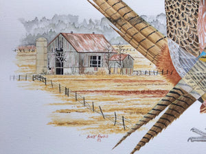 Ring-necked Pheasant (Original Watercolor)