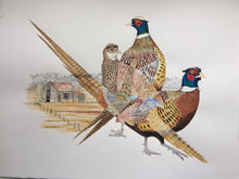 Load image into Gallery viewer, Ring-necked Pheasant (Original Watercolor)