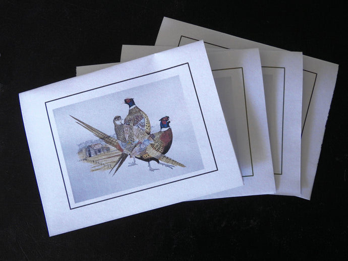 Ring-necked Pheasant Card Pack (Set of 4) 4 X 5