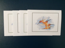 Load image into Gallery viewer, Rufous Hummingbird Card Pack (Set of 4) 4&quot; x 5&quot;