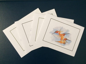 Rufous Hummingbird Card Pack (Set of 4) 4" x 5"