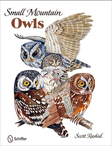 Book -- Small Mountain Owls
