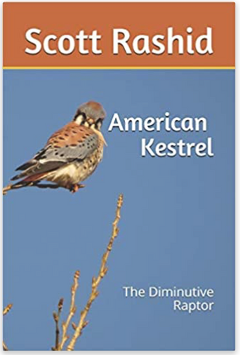 Book -- The American Kestrel: The Diminutive Raptor
