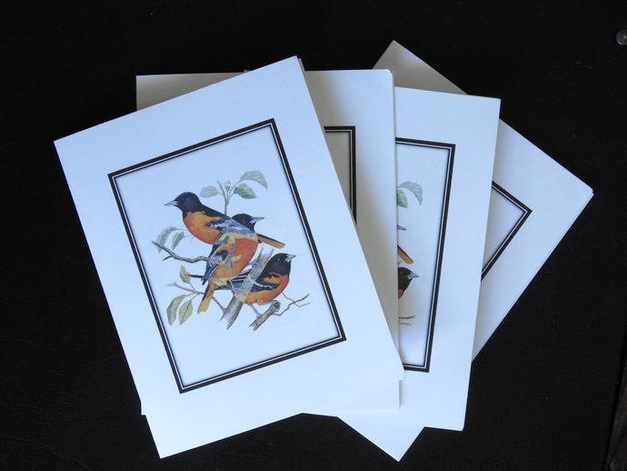 Baltimore Oriole Card Pack (Set of 4) 4 x 5