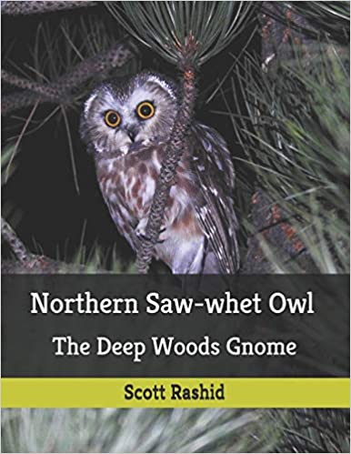 Book -- Northern Saw-whet Owl: The Deep Forest Gnome