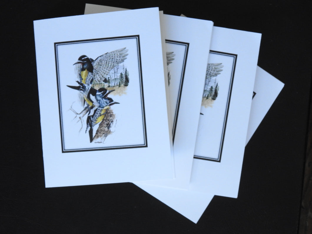 Williamson's Sapsucker Card Pack (Set of 4) 4 x 5  $5.00