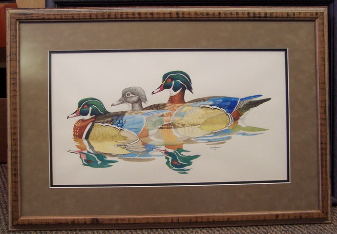 Wood Duck Original Watercolor (Framed)